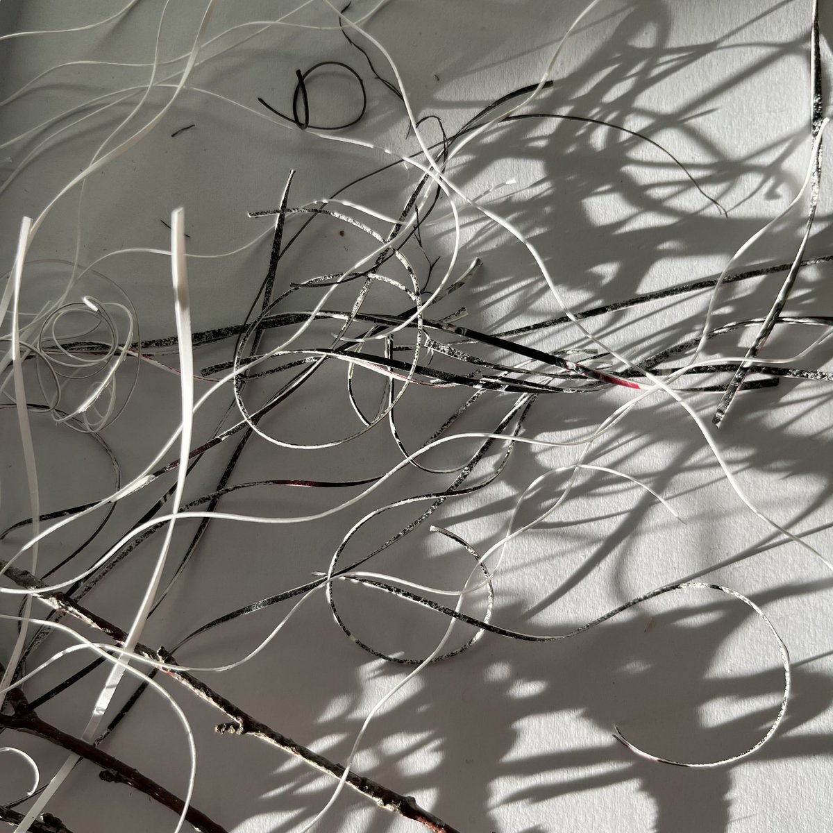 michelagriffith's tweet photo. Day 16 #The100DayProject
From taking nature’s marks indoors I find some lines come back out with me. Ice fringing the ponds echoes a little studio scene that had presented itself in the late afternoon sunshine.
#100dayproject #100daysofnature https://t.co/UnfxEdWuoA