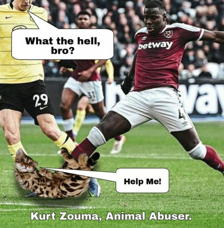 KurtZoumer's tweet photo. @HockeyHillier @CosmicSkeptic @WithinReasonPod @BishopBarron Alex gave me a hard time for kicking my cat, at leat he knows now it’s sometimes ok to hurt animals. https://t.co/yLRLQy7ddo