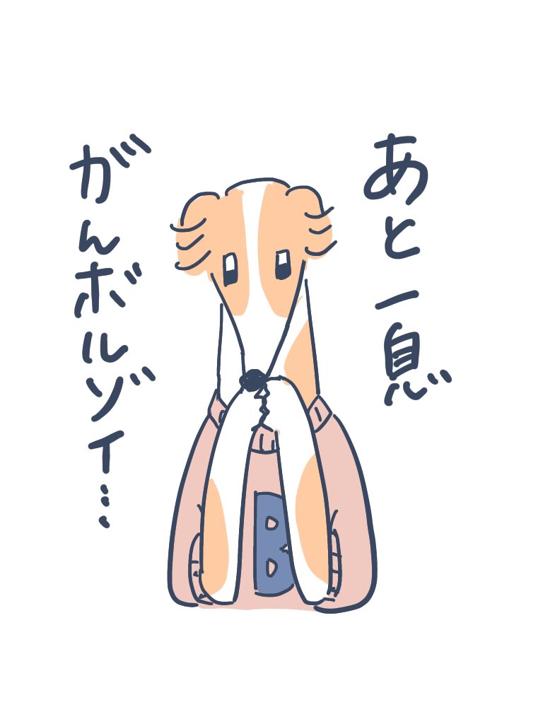 @merin_daaaa 噂なんです…!?
いっぱいおるよ 