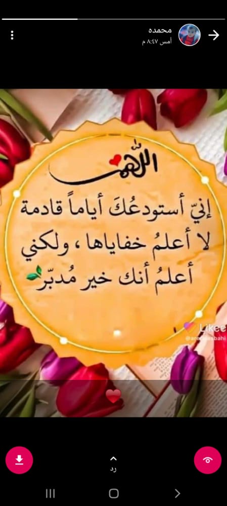 محمد tweet media