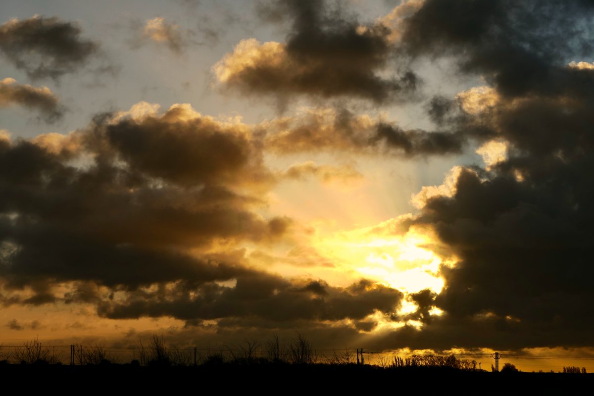 Dave Bradley tweet media