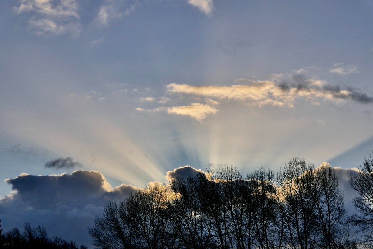 Dave Bradley tweet media