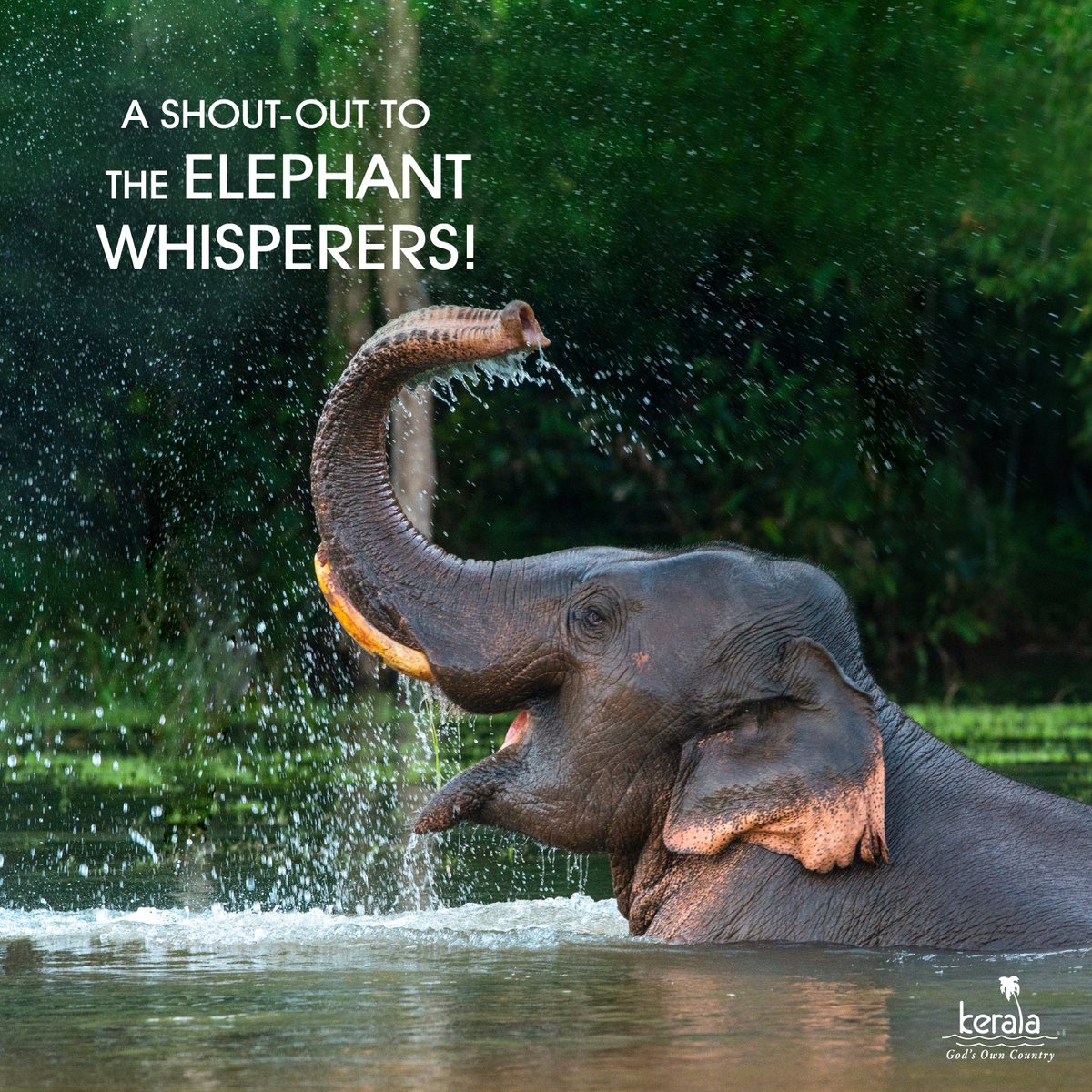 KeralaTourism's tweet photo. Congratulations on the Oscar win! 

#Oscars2023 #Oscars95 #TheElephantWhisperers #Netflix #KeralaTourism https://t.co/2cLn6DYcQ3