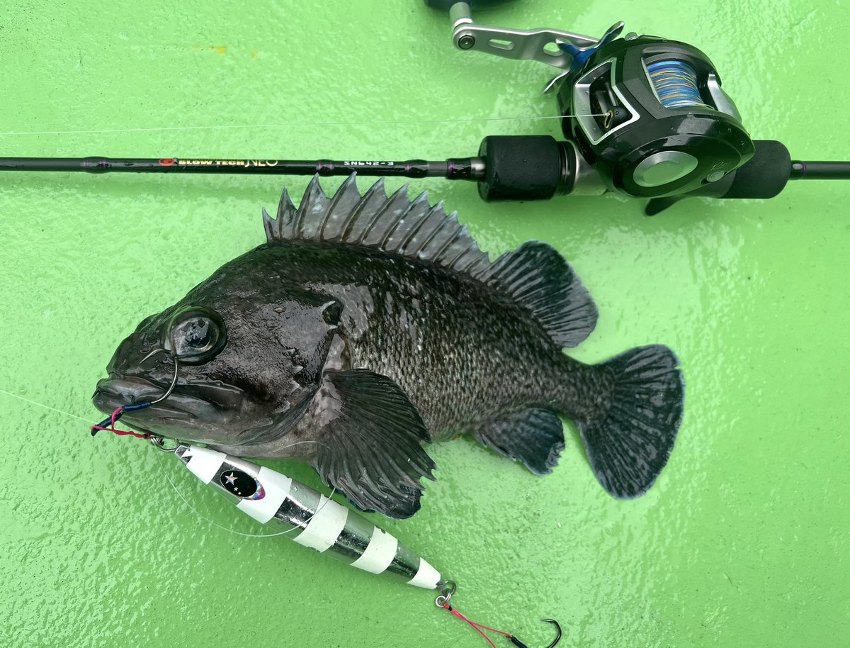 グリッサンド72コンベ