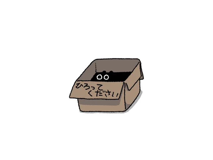 拾った猫が学校についてくる 