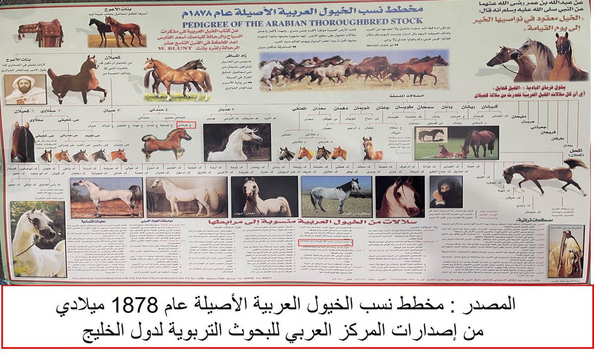 عائلة الهرماس tweet media