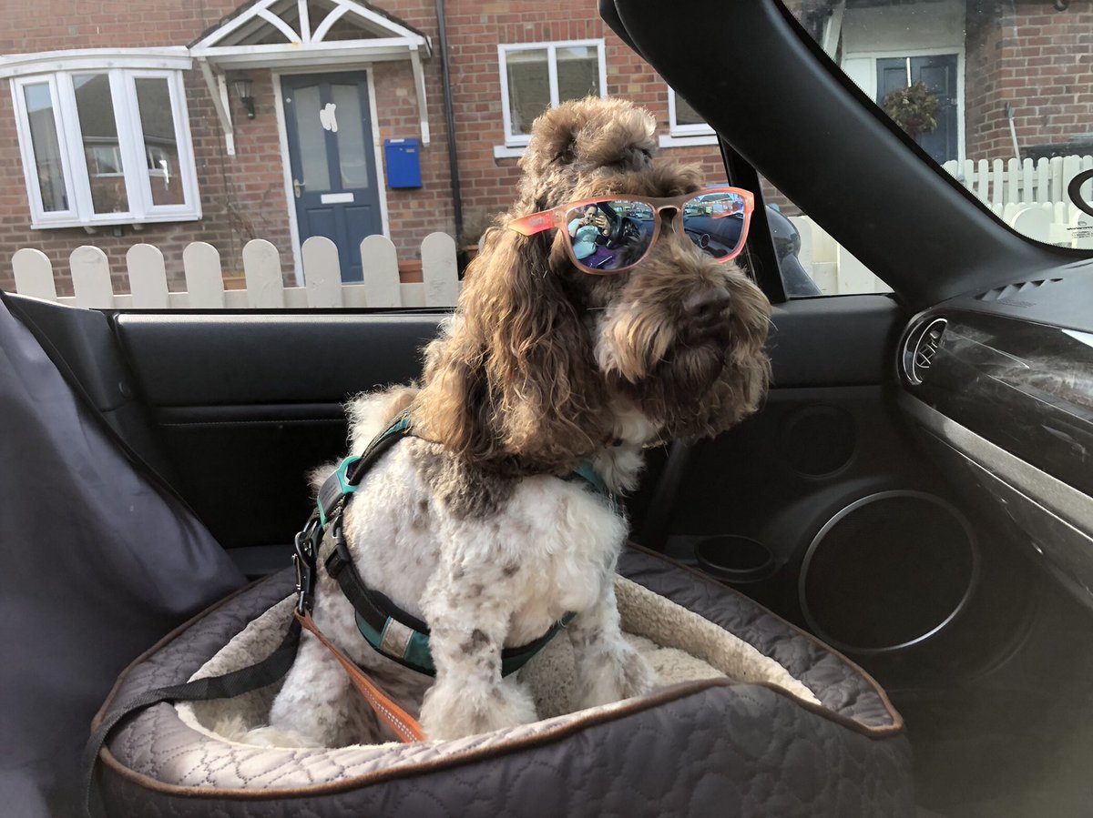 Ani rollin’ into Mondays, be like ‘what rain?’ ✌️ #AniAdventures