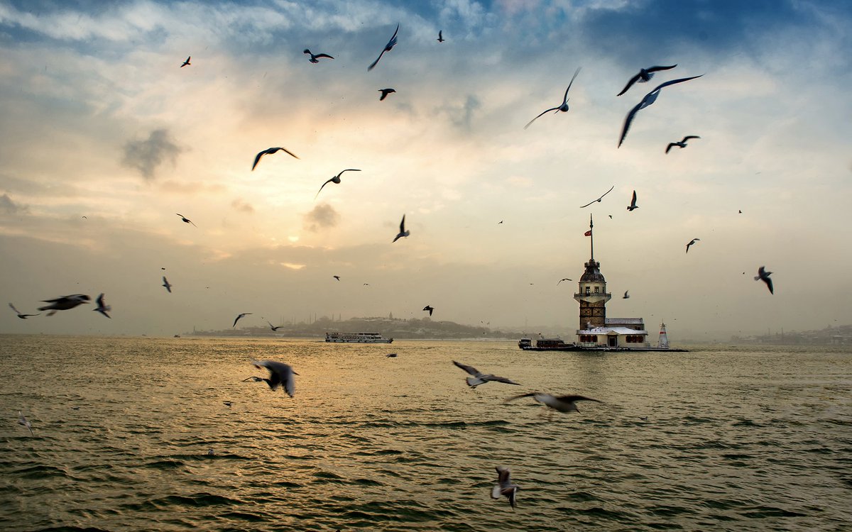 RamizAksoy.eth tweet media