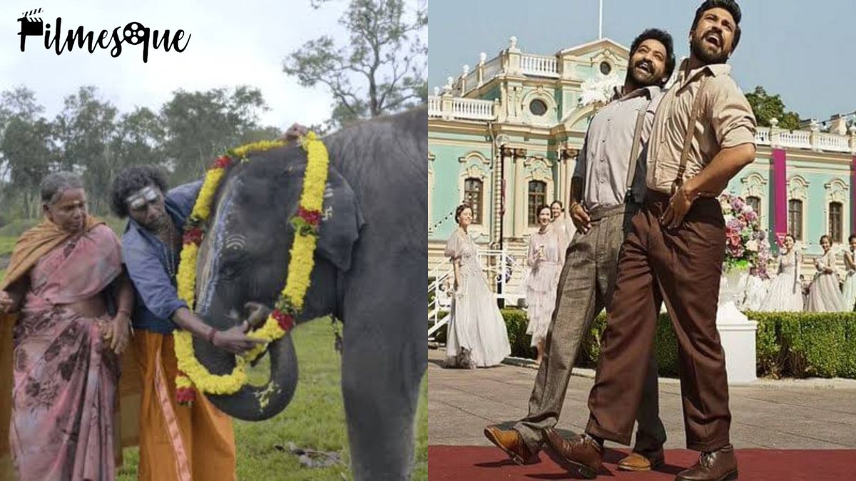 FilmesqueDU's tweet photo. Historic win for #india at #oscars2023 ! 😍
#naatunaatu wins Oscar for the Best Original Song and #theelephantwhisperers wins Oscar for Best Documentary (Short Film)
Congratulations India!🎉🇮🇳 https://t.co/7uDiOwVQq9
