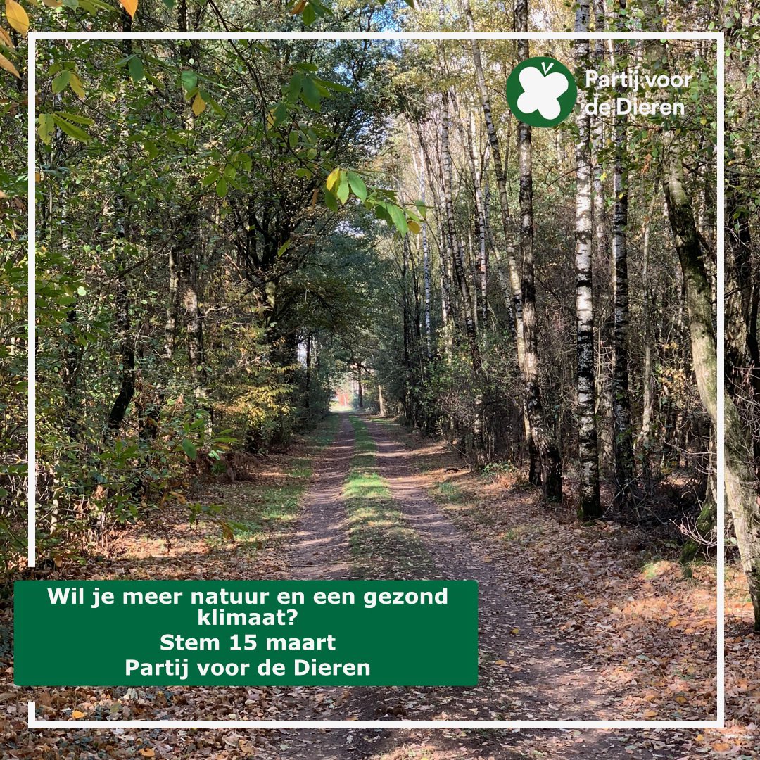 #AlphenaandenRijn #waterschapsverkiezingen #ProvincialeStatenverkiezingen #JeKuntNuNogKiezen #TeamPlanet #PartijvoordeDieren #PvdDAlphenaandenRijn #HetGroeneHart #GroeiendVerzet