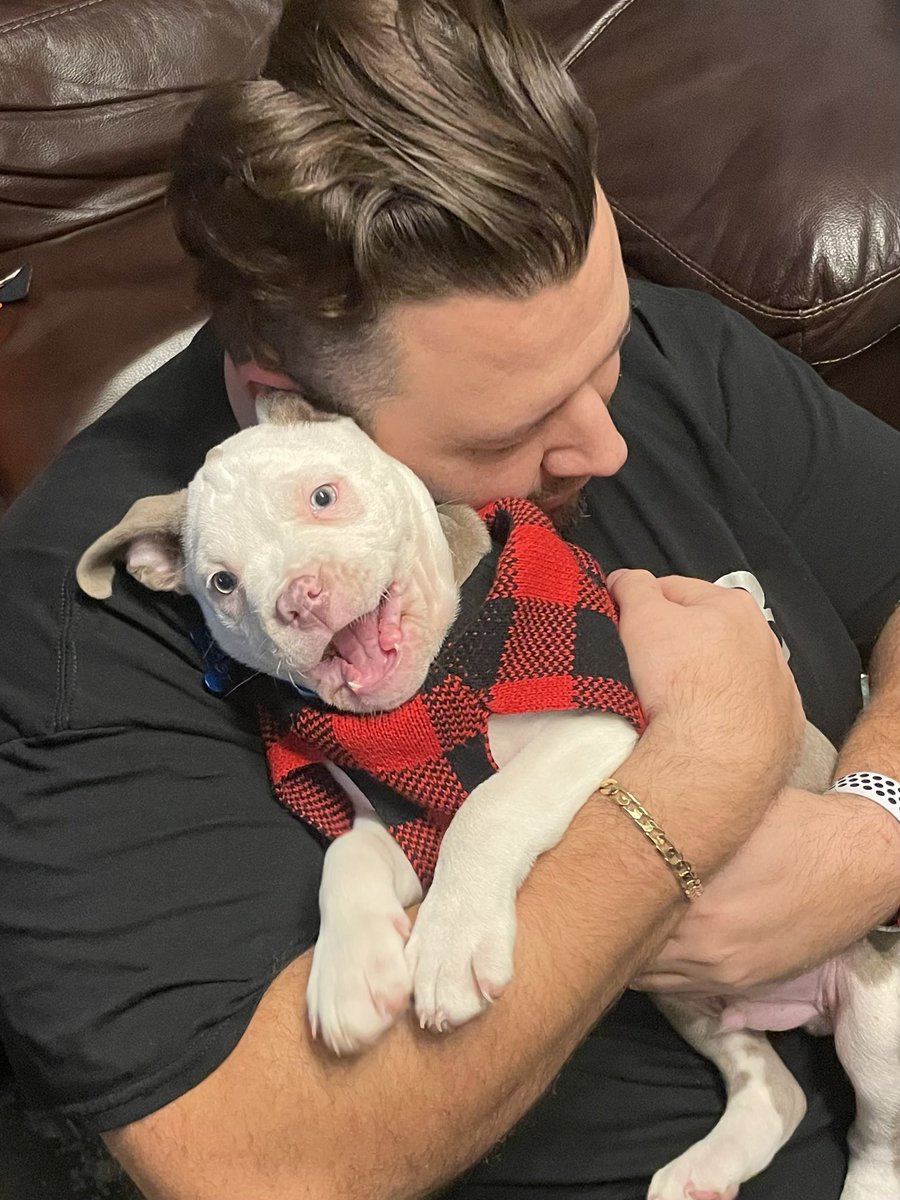 TigerStyle tweet media