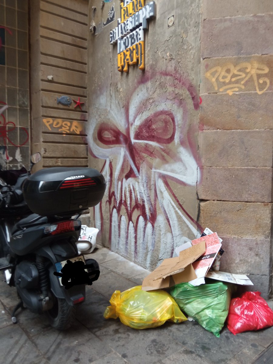 TseColl's tweet photo. Quin privilegi viure a BCN. Ciutat vella dilluns 8 del matí. Tot el carrer ple de bosses de brossa. https://t.co/HDT0O4nXYi