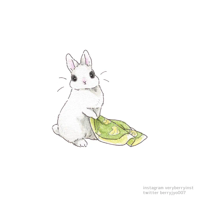 お気に入りのバナナブランケット 
