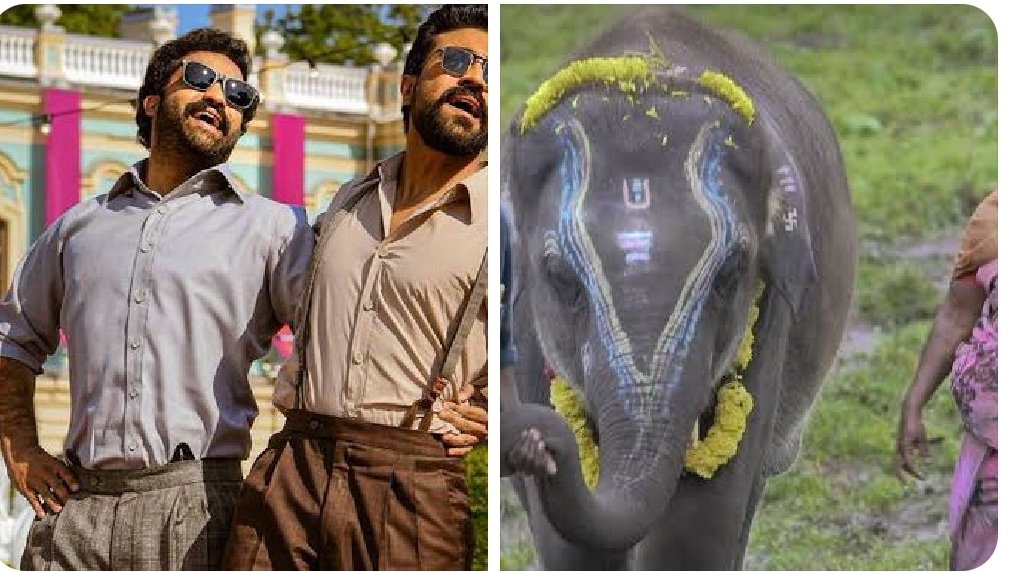 SarwarJamal's tweet photo. #prideofindiancinema #RRRatOSCARS #TheElephantWhispers Congratulations https://t.co/sBKvGR75yi