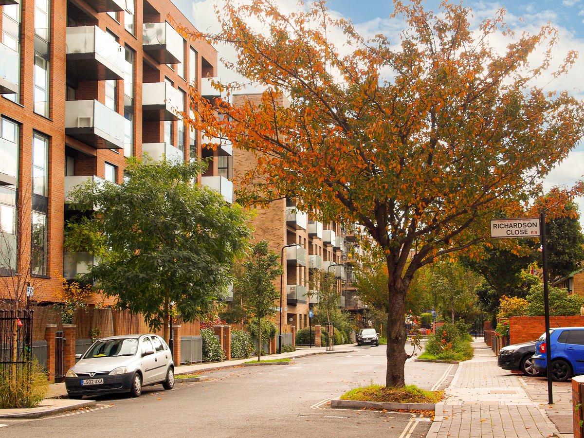 TreesforStreets's tweet photo. Urban trees🌳are the ultimate multi-taskers

⛱️Keep our streets cool
🌧️Reduce flooding
🚗Absorb pollution
📢Absorb noise
🐞Re-connect us with nature
😀Help protect our mental and physical wellbeing

Let’s fill our streets with trees!🌳
👉https://t.co/XnVelvENy6 https://t.co/boUnrX9uoE