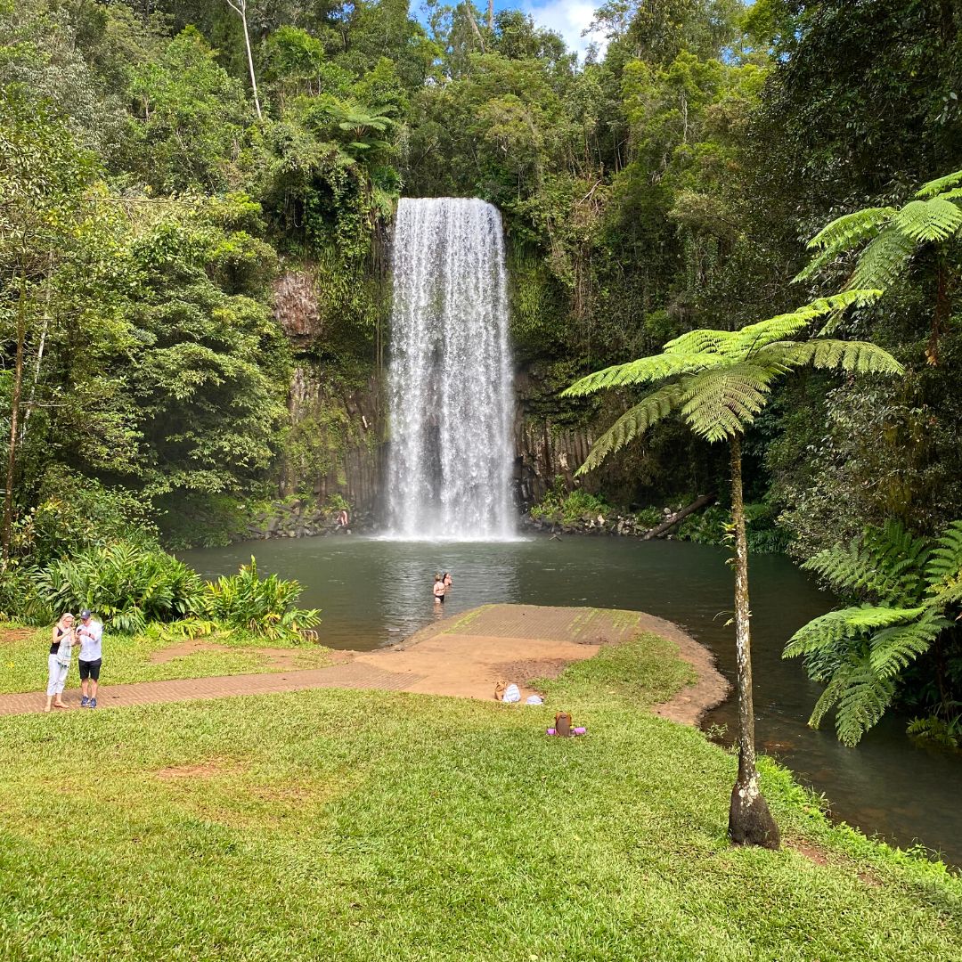 AnnetteJonesBiz's tweet photo. If you're looking for an extra-special experience in then head to the Atherton Tablelands from Cairns and visit Milla Milla falls. They are part of the Waterfall Circuit which makes for a great day out in the Tablelands. Each offers a unique experience.

 #AthertonTablelands https://t.co/8JBzskG8bd