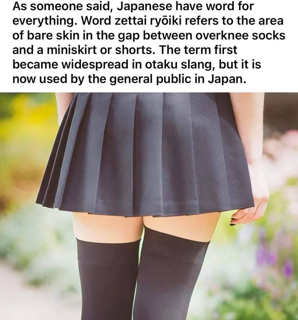 🇯🇵 The term zettai ryouiki “Absolute Territory" instagr.am/p/CpuKgTTNprD/