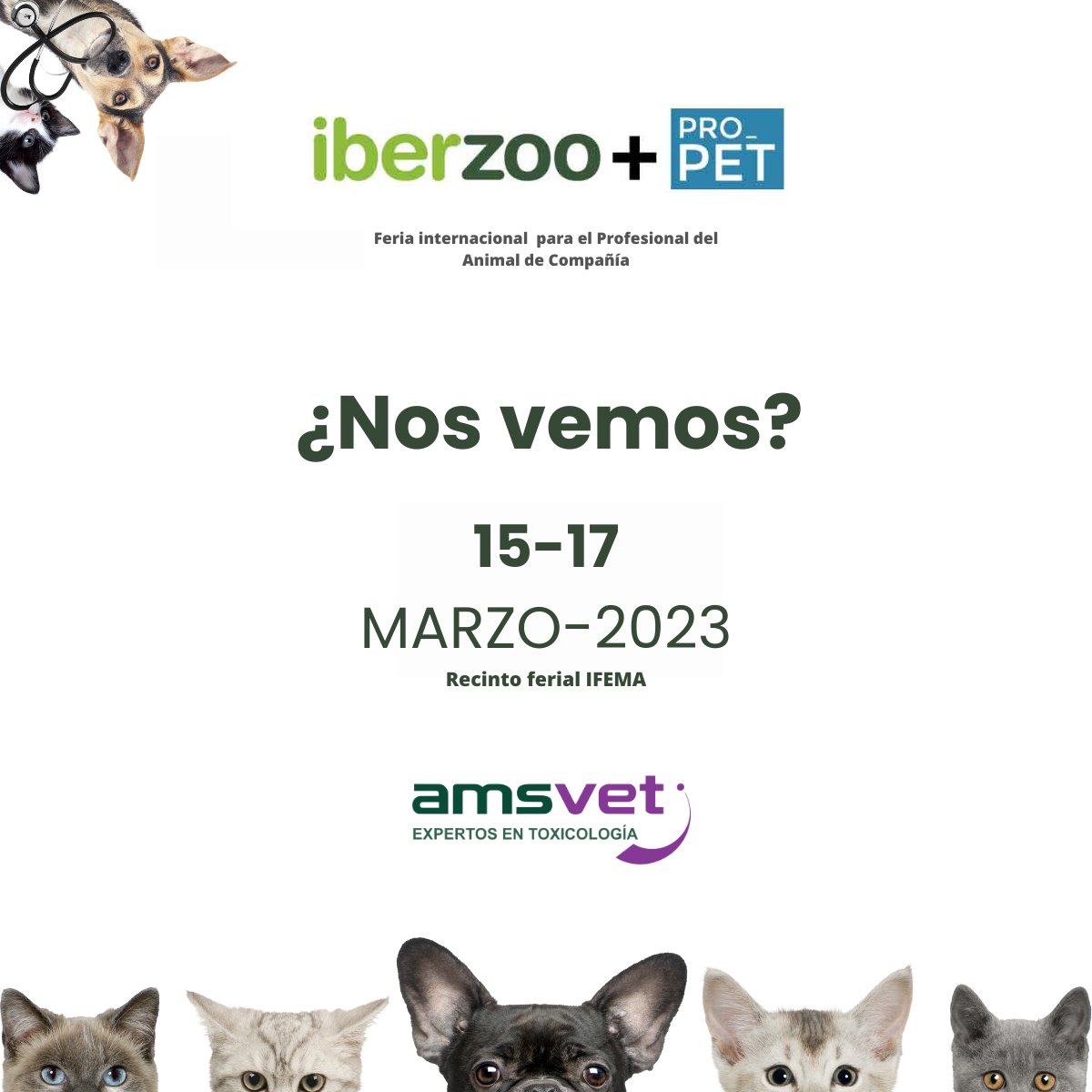 AMSveterinaria's tweet image. Todavía estás a tiempo de agendar una reunión con nosotros. ¡Nos vemos el día 15!

#AMSvet #AMSlab #Networking #Mascotas #BienestarAnimal 

👉 bit.ly/3kNAxNF