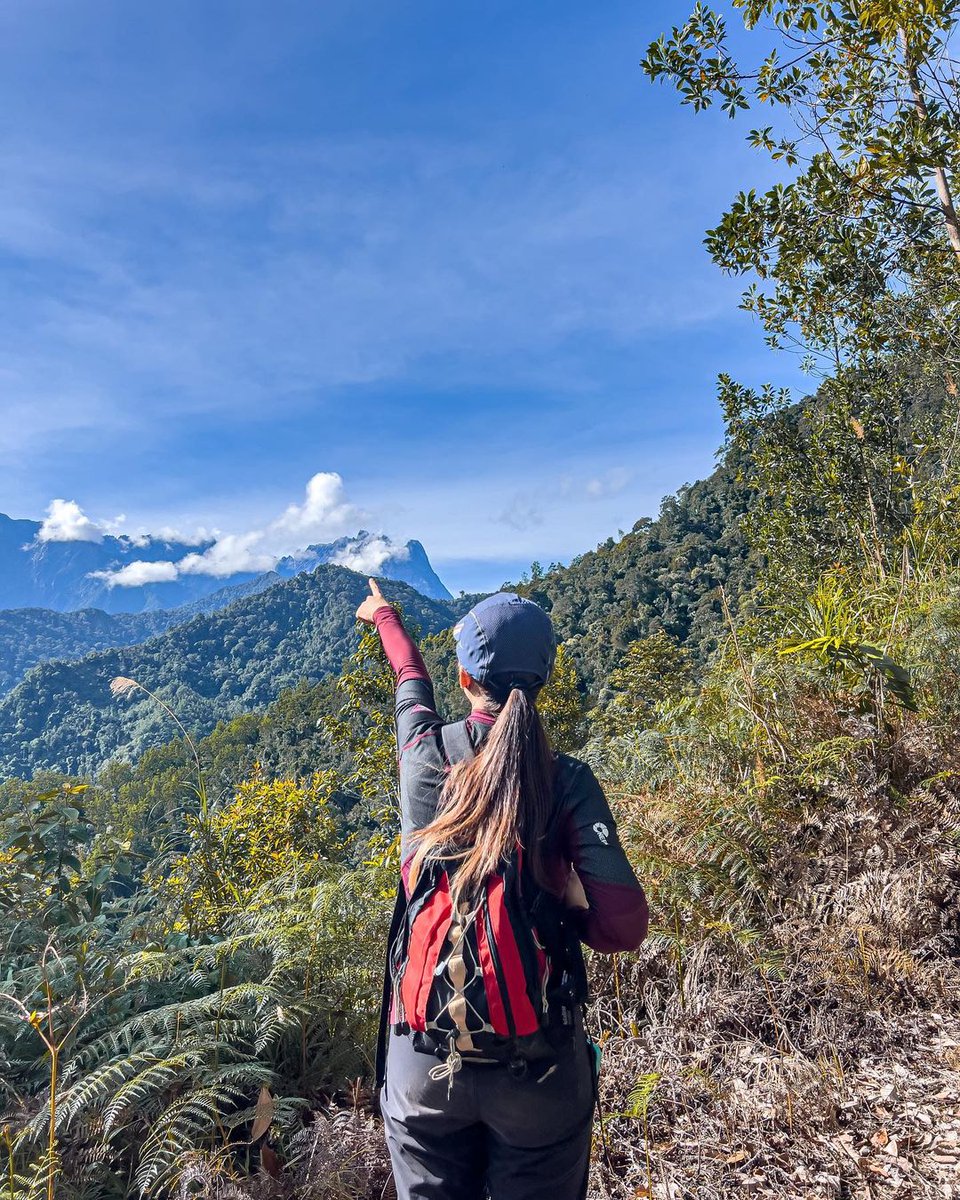 sabahtourism's tweet photo. Mount Nopungguk is ⅓ the height of Mount Kinabalu. Even so, the stunning wonders and adventure will not fall short, as there are several waterfalls you can discover, strangler trees to marvel at and a serene view of Mount Kinabalu for your eyes to feast upon. 

📸IG:@hafizraffie https://t.co/CkixO8CQrp