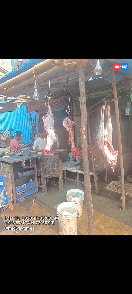 mid_waytimes's tweet photo. Urge you to investigate this issue and take appropriate measures to put an end to this practice. Let us work together to create a safer, more humane society for all. #StopAnimalSlaughter #EndPublicDanger #JogeshwariWest #AnandNagar @CMOMaharashtra
@mieknathshinde
@Petition_Group https://t.co/6a1CVlQBsT