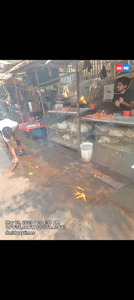 mid_waytimes's tweet photo. Urge you to investigate this issue and take appropriate measures to put an end to this practice. Let us work together to create a safer, more humane society for all. #StopAnimalSlaughter #EndPublicDanger #JogeshwariWest #AnandNagar @CMOMaharashtra
@mieknathshinde
@Petition_Group https://t.co/6a1CVlQBsT