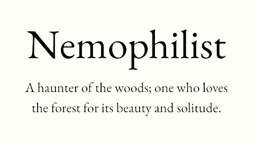 arealmofwonder's tweet photo. 🎂🎉 Birthday Giveaway 🎉🎂

So with today being my birthday, I've decided to do a giveaway. Yip, 3 people shall each win a £25 Amazon voucher!

To enter, Retweet and Follow. Closes Wednesday 1pm GMT.

Right, moving on... 😅

The Word of the Week 🌿 

Pick your winner.

A  B
C  D https://t.co/9LkpYb9hgN