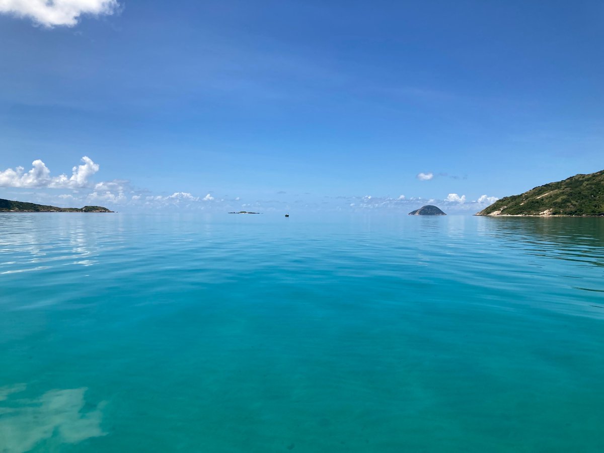 Cathie Page (@drcathiepage) on Twitter photo Beautiful day here at Lizard 🦎Island helping the #ReefSong team <a href="/aims_gov_au/">Australian Institute of Marine Science</a> census patch reefs. Beautiful day here at Lizard 🦎Island helping the #ReefSong team <a href="/aims_gov_au/">Australian Institute of Marine Science</a> census patch reefs.