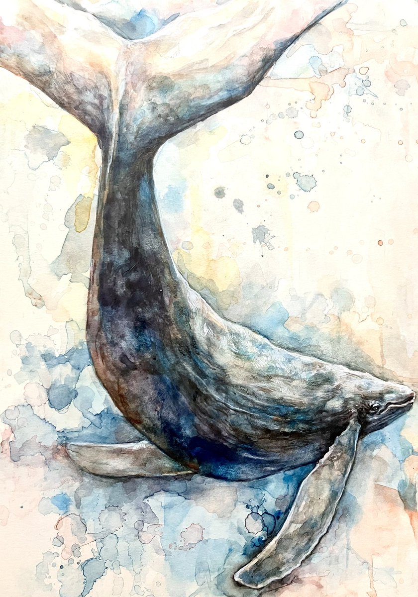 「「 溟海 」|水彩画/71日目 」|タカハシシオンのイラスト