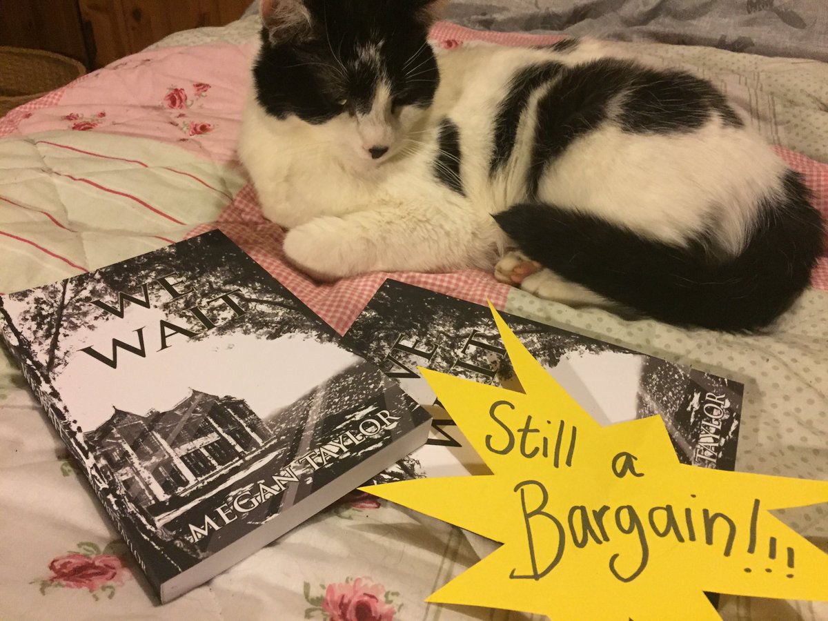 meganjstaylor's tweet photo. For Women In Horror Month, my haunted house novel of girls and ghosts, We Wait, remains at just 99p on Kindle! https://t.co/IX2mQ3e5Oh