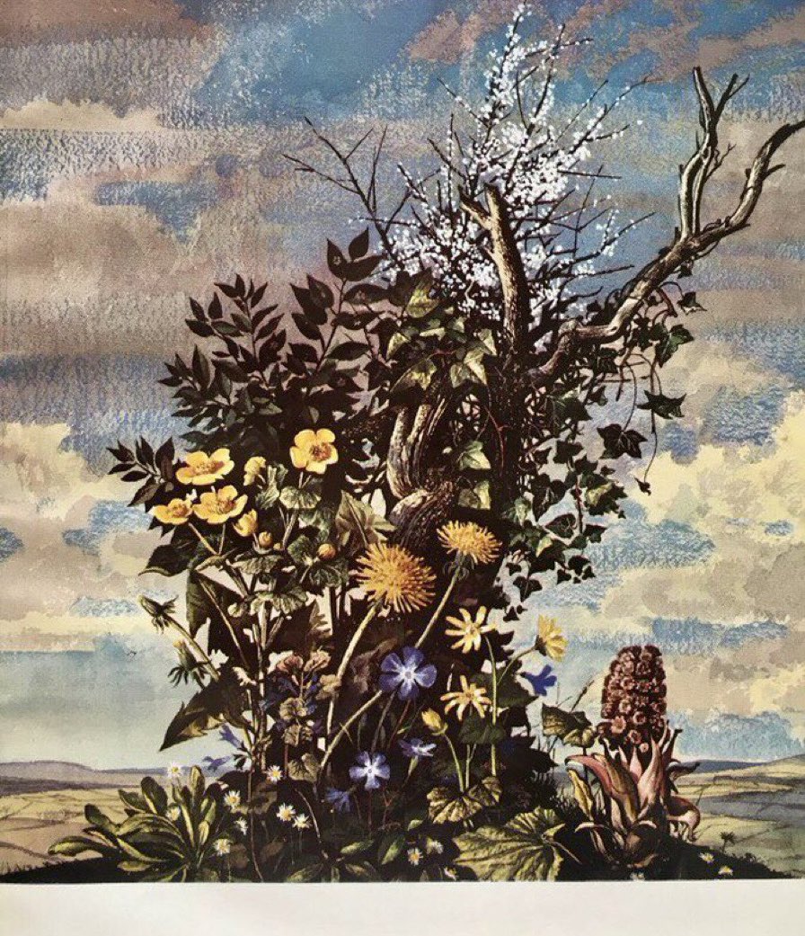 LBFlyawayhome's tweet photo. “March is the month of Blackthorn, the creamy buds and white flowers exquisite upon their twigs of ebony. It is the month also of daisies, opening their eyes among the grass (daisy does mean ‘day’s eye’)”
#EdithHilder #RowlandHilder Geoffrey Grigson (Shell Guide) https://t.co/d4f612IrDU