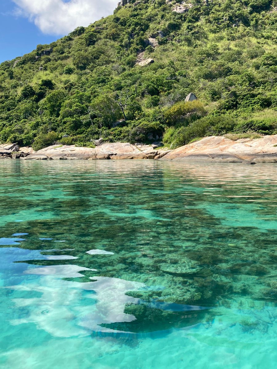 Cathie Page tweet media