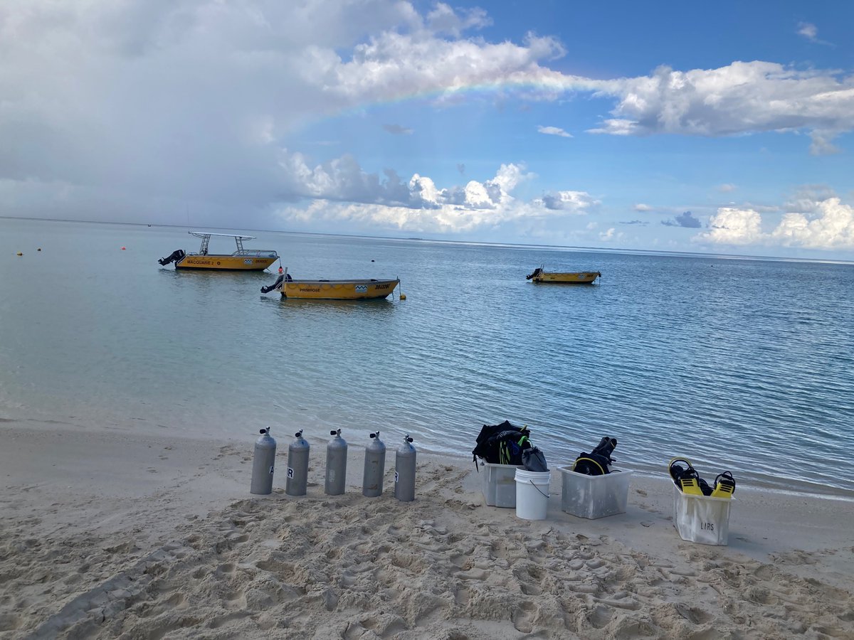 Cathie Page tweet media