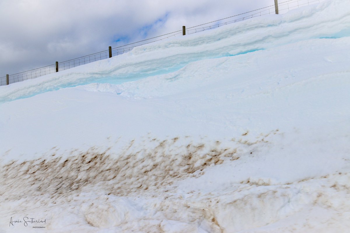 AimeeS74's tweet photo. Blue snow #shetland #bluecoloration https://t.co/0s6FuzLByt