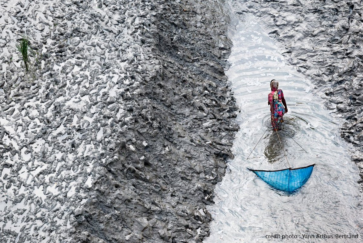 A travers son œuvre photographique, Yann Arthus-Bertrand témoigne de la beauté des espaces naturels et du monde animal ainsi que de l’impact dévastateur du changement climatique, de la déforestation et de la désertification. 2/3