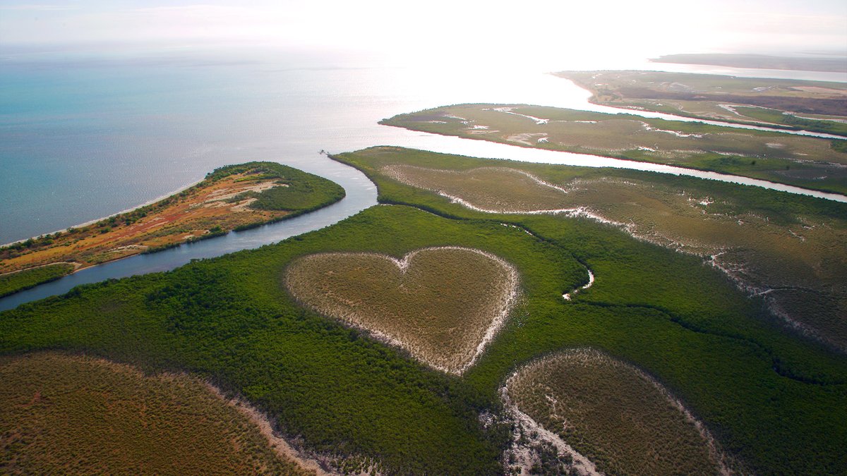 Depuis le 6 mars 2023, Yann Arthus-Bertrand a repris son émission « Vu du ciel » sur MyZen TV pour examiner les principaux enjeux de la planète. Chaque épisode traite d’un thème général et nous emmène aux quatre coins du monde à l’aide de reportages et d’enquêtes. 3/3