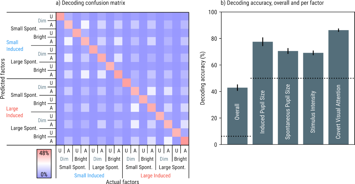 cogscinl's tweet photo. We manipulated pupil size, attention, and target intensity in a spatial cuing task. All of these factors, as well as spontaneous pupil fluctuations, could be decoded from (and thus affected) EEG responses around target presentation (props to the #braindecode toolbox) 2/4 https://t.co/llHHImyRUr