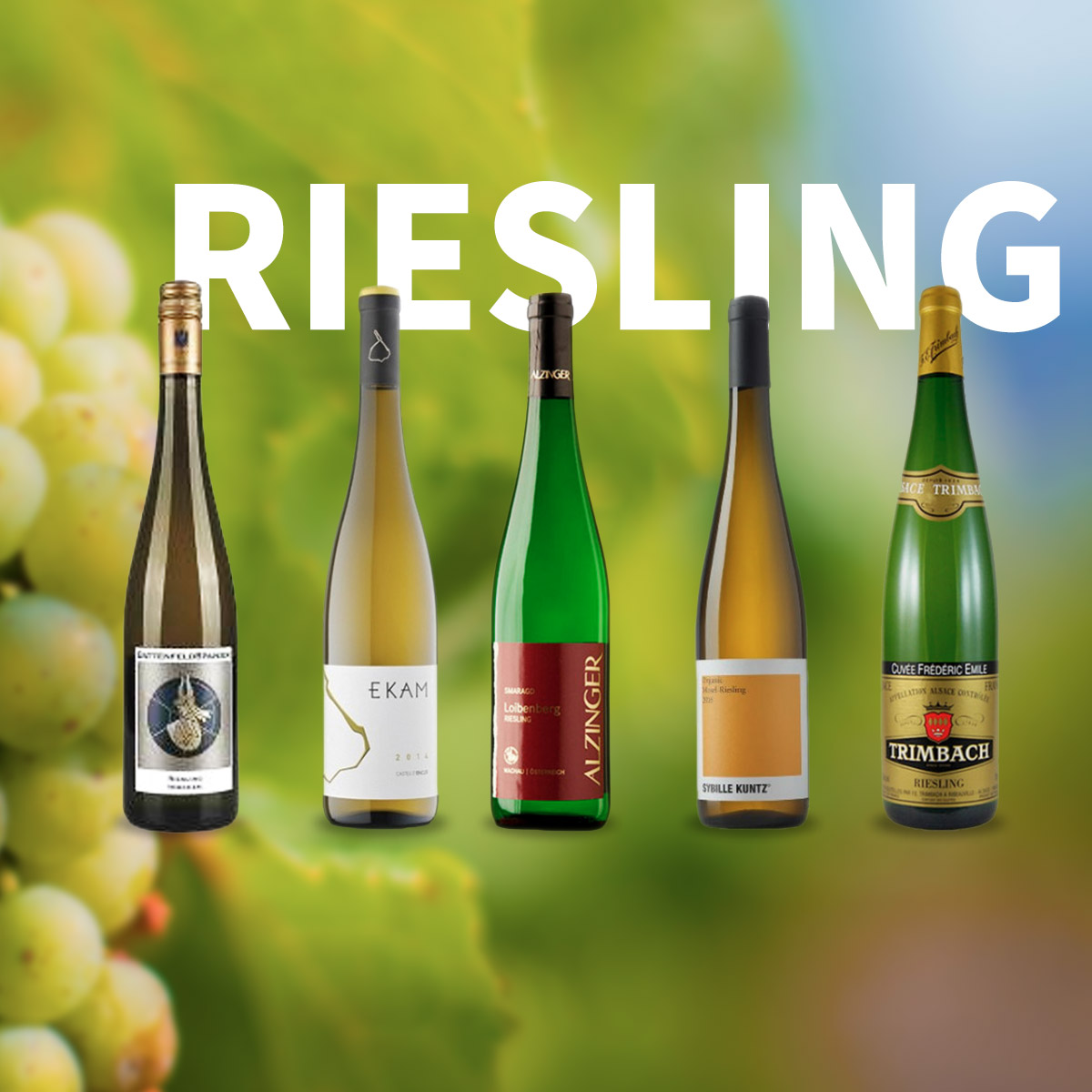 Heute ist Riesling-Tag!📅🥂🥰

📍Ist dieses Datum ein sehr guter Vorwand, um kleine Juwelen zu entdecken, die aus der berühmten goldenen Traube des Rheins hergestellt werden.

👉decantalo.com/de/de/wein/q/r…

Alles Gute zum Riesling-Tag!

#RieslingDay #InternationalRieslingDay