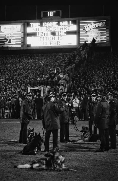 Millwall photos tweet media
