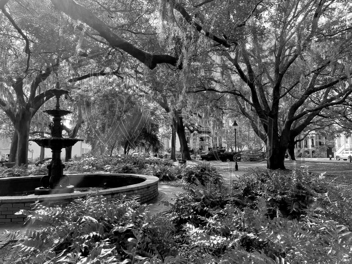 Do away with the Monday Blues and have the Monday Boo's! Get #spooky in #savannah on our #ghosttour tonight! Book Now: witchinghoursavannah.com
#ghosts #hauntedplace #hauntedplaces 
#savannahga #savannahgeorgia #historicsavannah #downtownsavannah #visitsavannah #paranormal