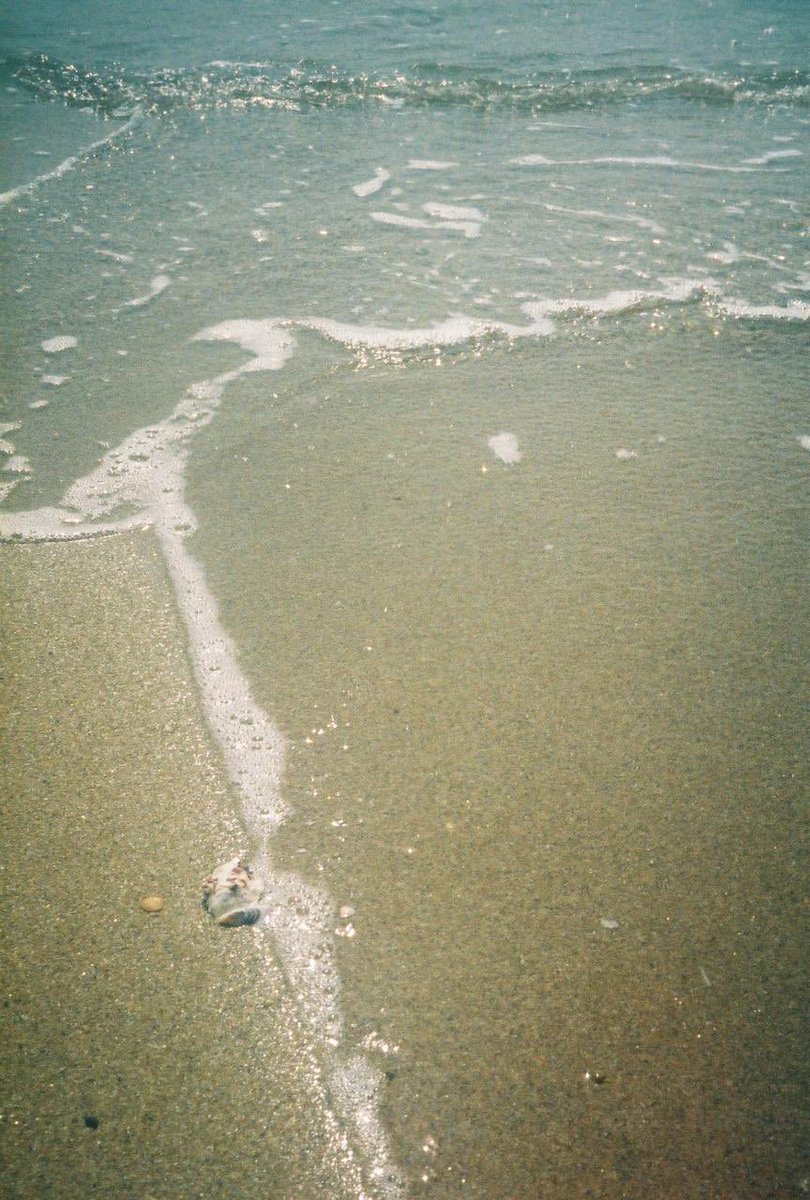 ty__photo's tweet photo. この日は暑くて飛び込みたくなった田舎の海。

#フィルムカメラ 
#フィルム写真 
#田舎道 
#スナップ写真

#おくさんぽ
#お写ん歩 
#キリトリセカイ 
#写真好きな人と繫がりたい 
#カメラ好きな人と繋がりたい 
#ファインダー越しの私の世界 
#写真で伝える私の世界 https://t.co/gbXO1YrYG3