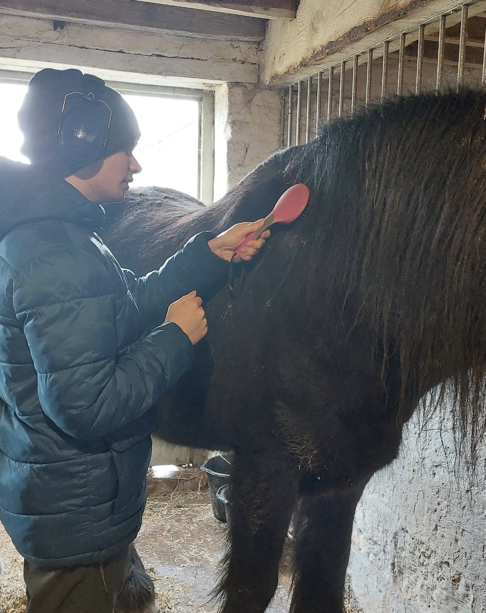 DcStudies's tweet photo. There are lots of benefits of the human-animal bond… 
🐴 Improved physical and mental health 
🐴Reduces stress and anxiety 🐴Promotes communication 
🐴 Improves self esteem and confidence
🐴 Positively impacts social skills  
🐴 Non judgemental 

#equinetherapy #wearederwen https://t.co/RYEL8oVQ9j
