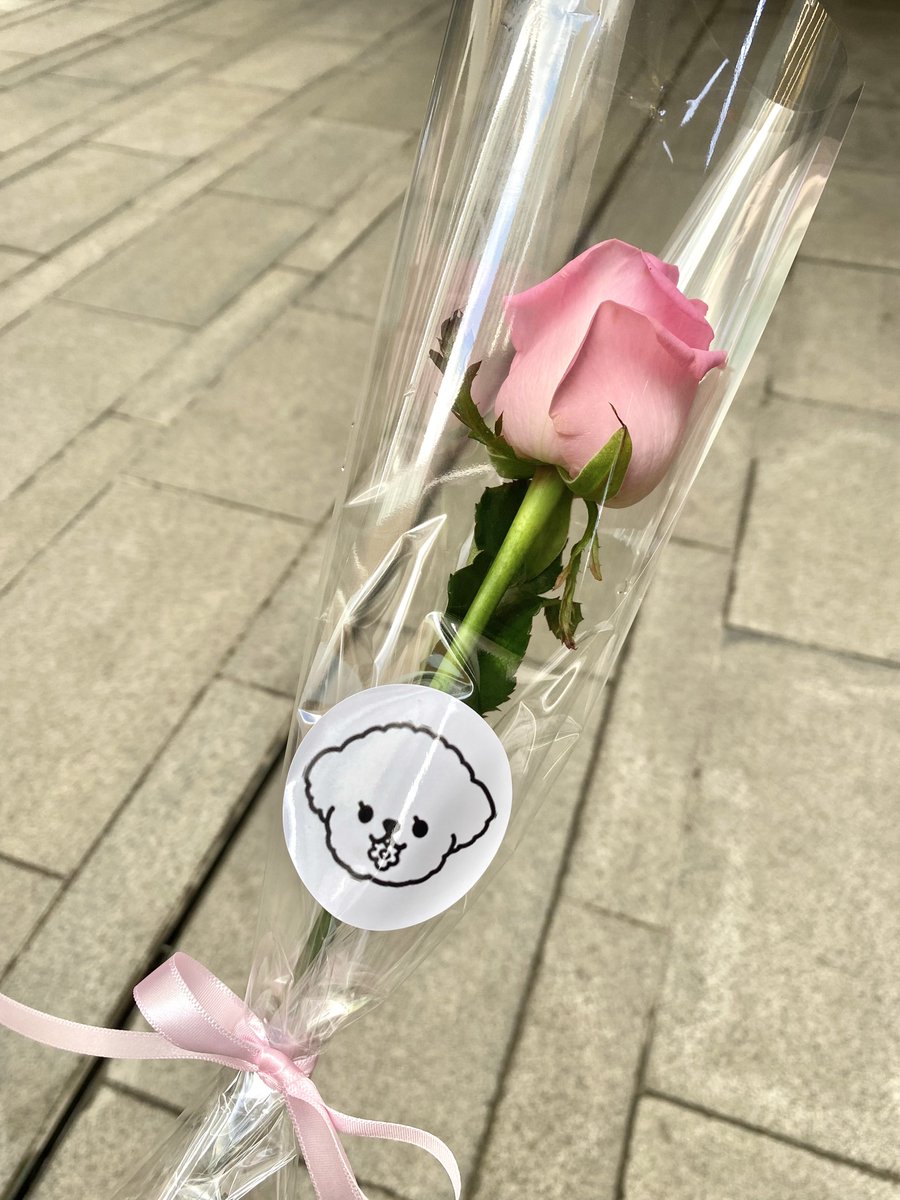 myspringGYU's tweet photo. #봄을물어온강아지
#Spring_puppy

범규의 마음처럼 따스한 해시태그와 벽면에 붙어있던 새벽 3시 감성이 느껴지는 사진까지 전부 취향을 저격당해 나가기 힘든 곳이었어요 🥲 “행복한 사랑” 이라는 꽃말과 잘 어울리는 행복을 주는 공간이었습니다 💖 https://t.co/TJnD91u3kM
