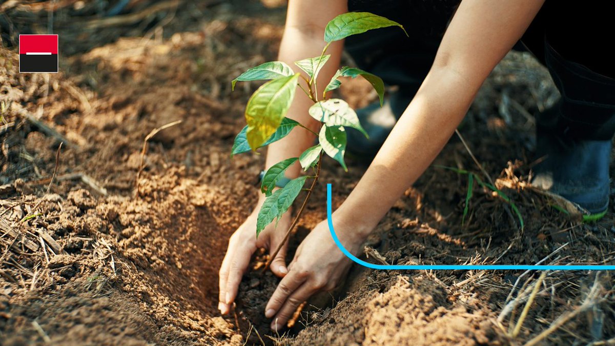 ayvens_group's tweet photo. We partnered with EcoTree, multi-certified solution provider with forests across Europe, to finance the reforestation of 3 hectares of destroyed forest, located in a region of France particularly impacted during last summer's fires
👉 https://t.co/xONNYLy2Bs
#MoveForGood https://t.co/FPqQK5lAdT