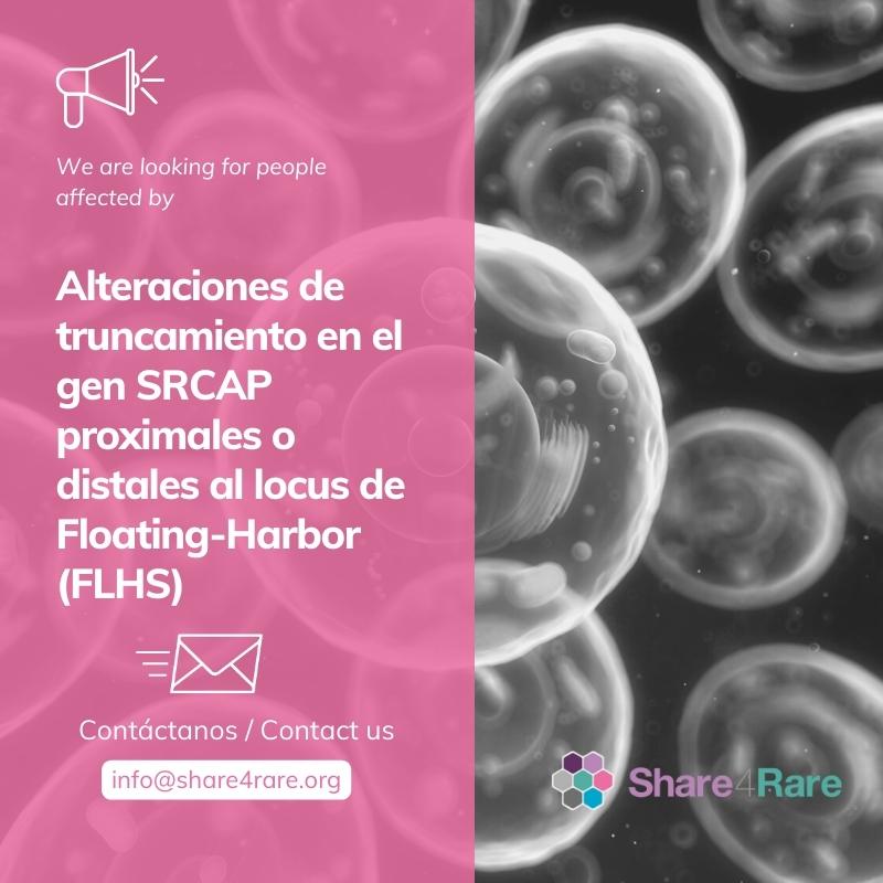 Share4Rare's tweet photo. 📣 Hoy buscamos personas con mutaciones en el gen #SRCAP proximales o distales al locus #FloatingHarbor para incluirlas en un estudio internacional de identificación de #epifirma 🧬
Escríbenos a info@share4rare.org y regístrate en #Share4Rare: https://t.co/24QLIm9QQV @CIBERER https://t.co/L7amtp2bLc