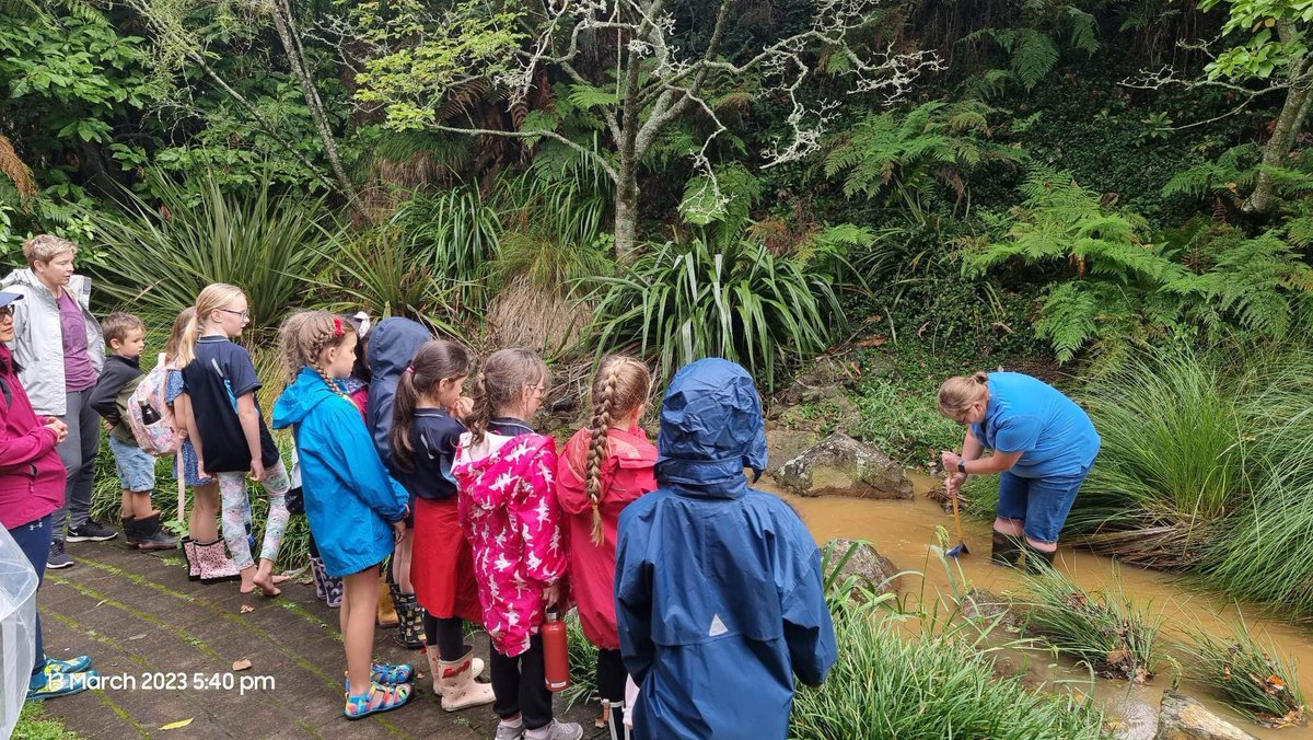 ktecollins's tweet photo. Fun evening when two passions collide - freshwater ecology with @GirlGuidingNZ Brownies. Had a look at the invertebrates in a local Kirikiriroa stream, caught an unsuspecting tuna in a kick-net π₯°π₯° #outreach #FutureEcologist #STEM https://t.co/1i6tS07zHp