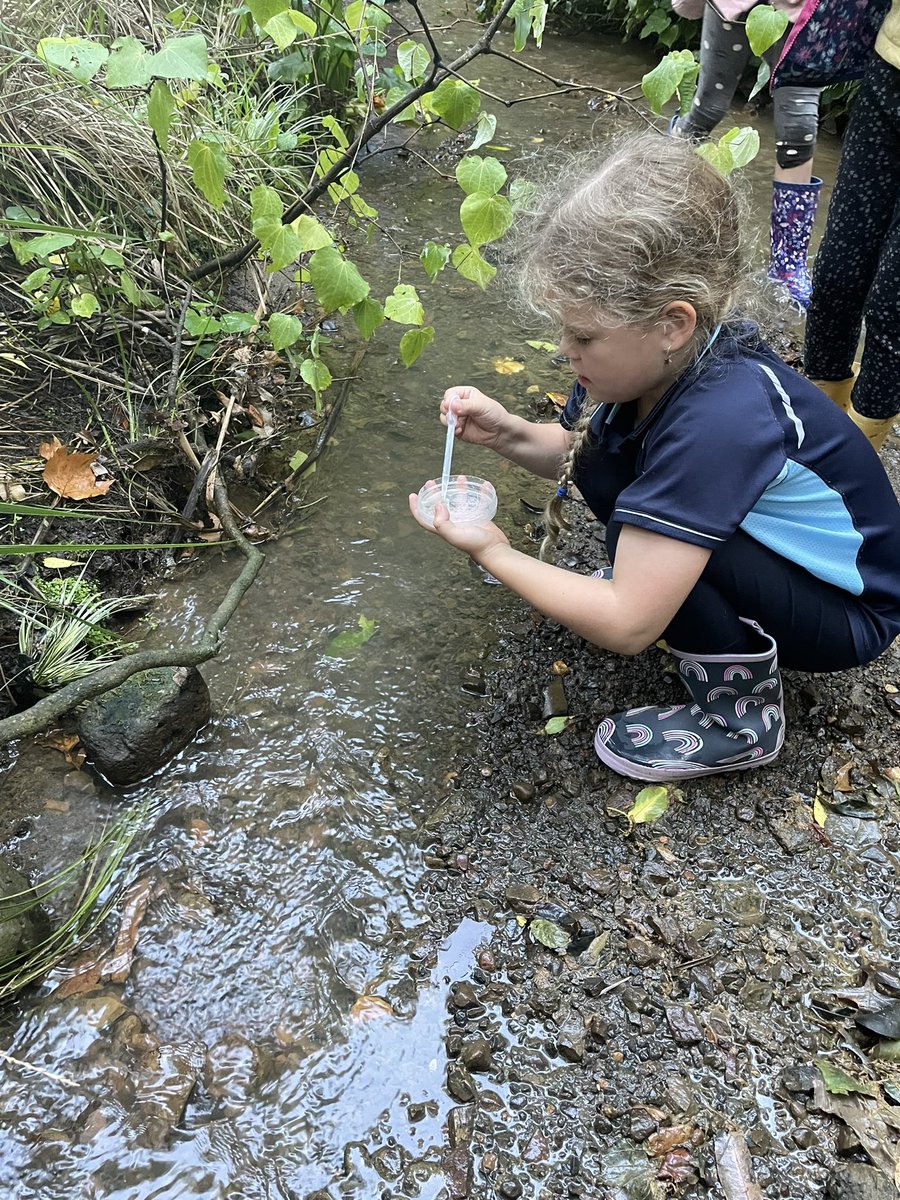 ktecollins's tweet photo. Fun evening when two passions collide - freshwater ecology with @GirlGuidingNZ Brownies. Had a look at the invertebrates in a local Kirikiriroa stream, caught an unsuspecting tuna in a kick-net π₯°π₯° #outreach #FutureEcologist #STEM https://t.co/1i6tS07zHp