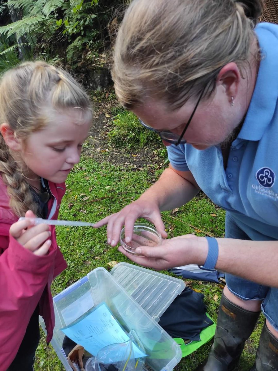 ktecollins's tweet photo. Fun evening when two passions collide - freshwater ecology with @GirlGuidingNZ Brownies. Had a look at the invertebrates in a local Kirikiriroa stream, caught an unsuspecting tuna in a kick-net π₯°π₯° #outreach #FutureEcologist #STEM https://t.co/1i6tS07zHp