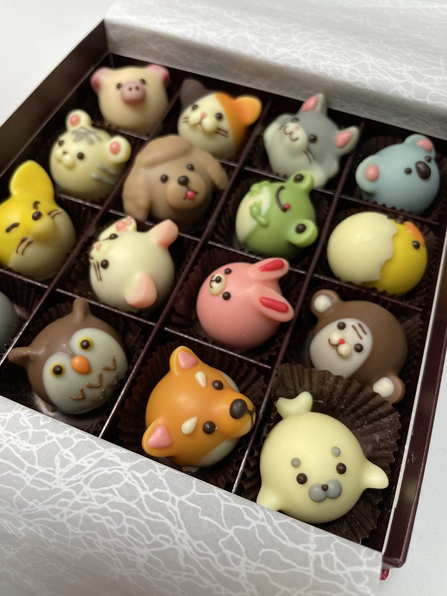 sumomo__02's tweet photo. もうホワイトデーの季節だけど、バレンタインに母が買ってきたゴンチェロフのチョコかわいすぎてまだ2つしか食べてない🍫 https://t.co/qUznj8ZrMe
