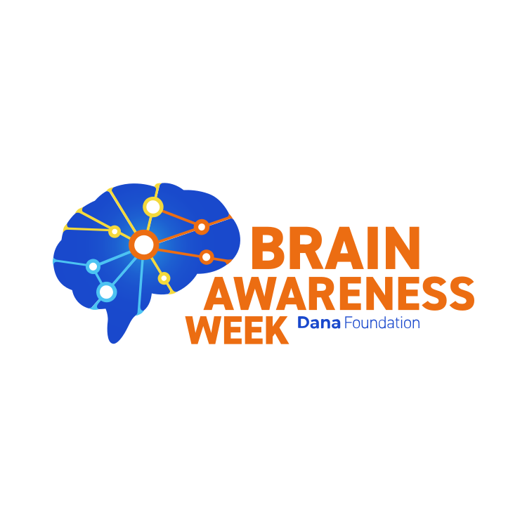 Hoy empieza la 🧠#SemanaDelCerebro y para que no os perdáis nada, hemos recopilado en este hilo algunas de las actividades que se celebrarán durante los próximos días y que están impulsadas por la #SENC
👇

#BrainWeek #BrainAwarenessWeek #SemanaCerebro
