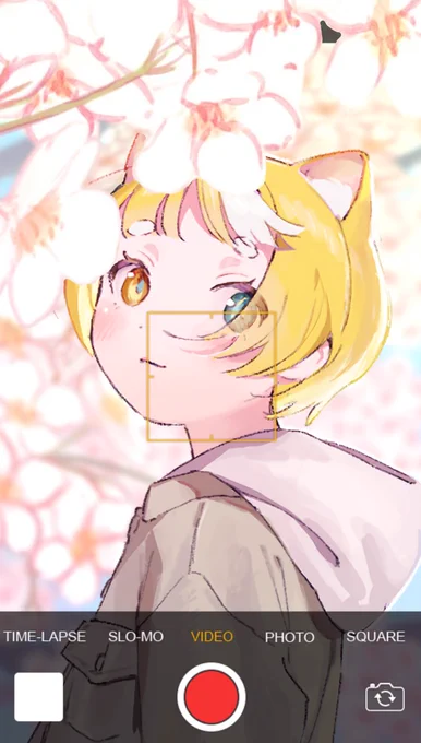 おはこんみゅ〜メルと桜、ちゃんと撮れてますみゅ〜?月曜日はね、無理しないどっしりゆったり発進で行くのがもっとーですみゅ#おはようVtuber #Vtuber 